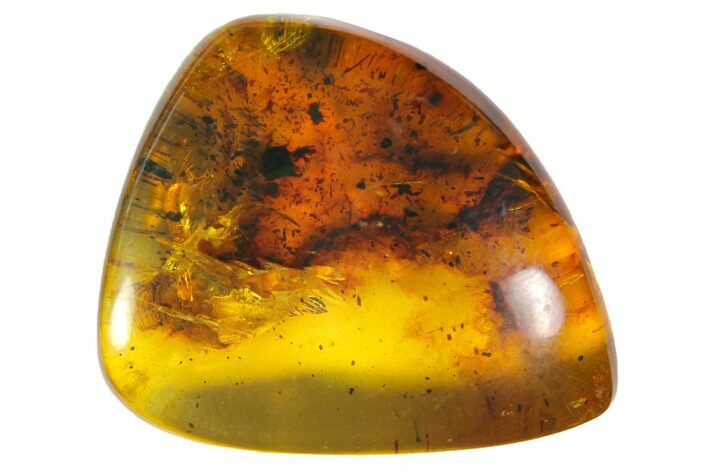 Polished Chiapas Amber ( g) - Mexico #114771